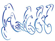 Soul-birds de Sri Chinmoy