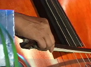 videos conciertos